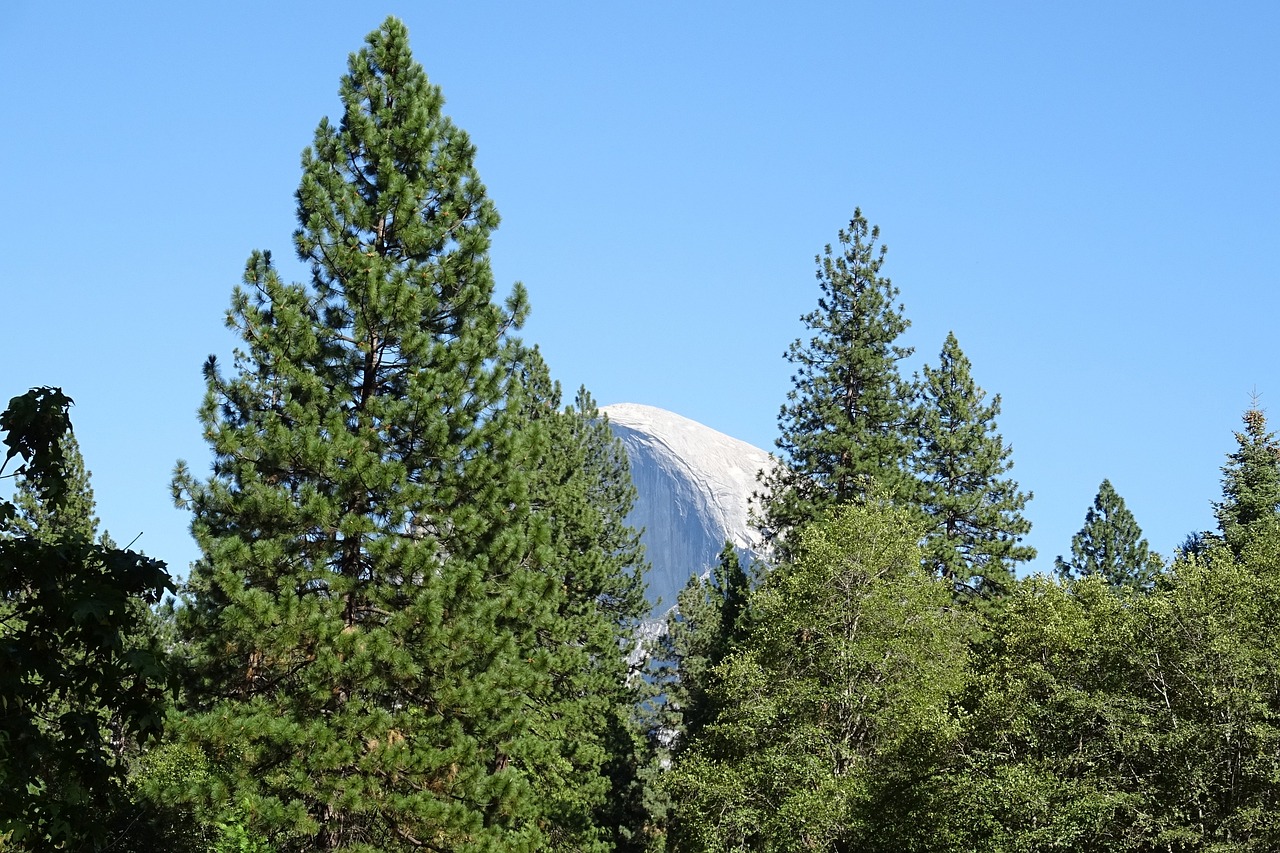 The Best Backpacking Routes in the Sierra Nevada